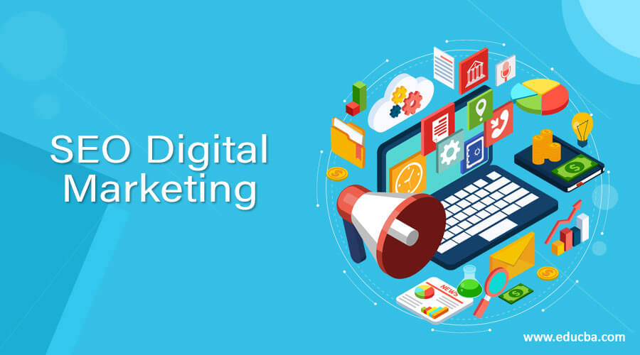 SEO & Digital Marketing